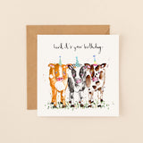 Louise Mulgrew Cards